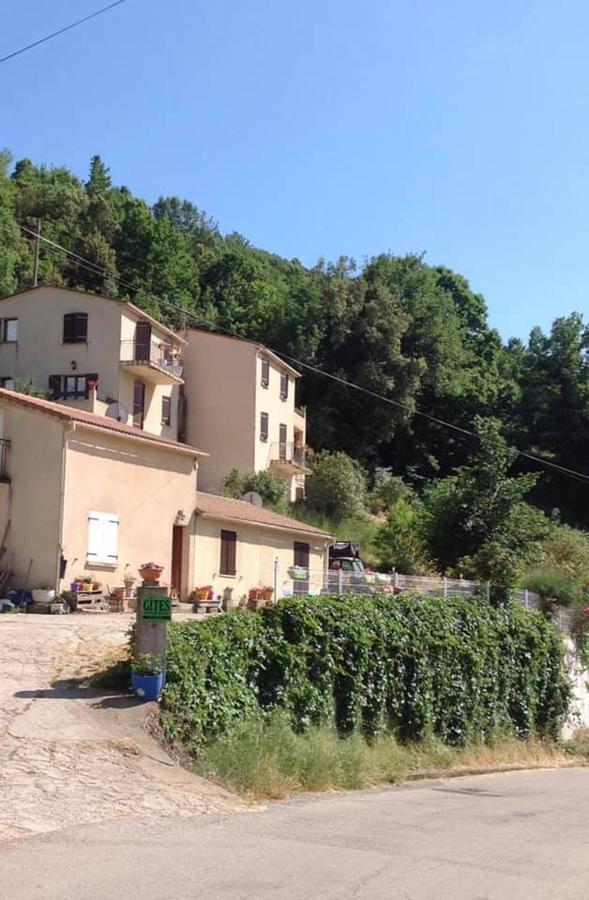 à Appartement Cozzano